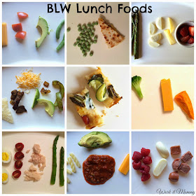Baby Led Weaning lunch ideas