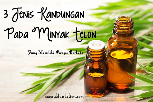 3 Jenis Kandungan Pada Minyak Telon 