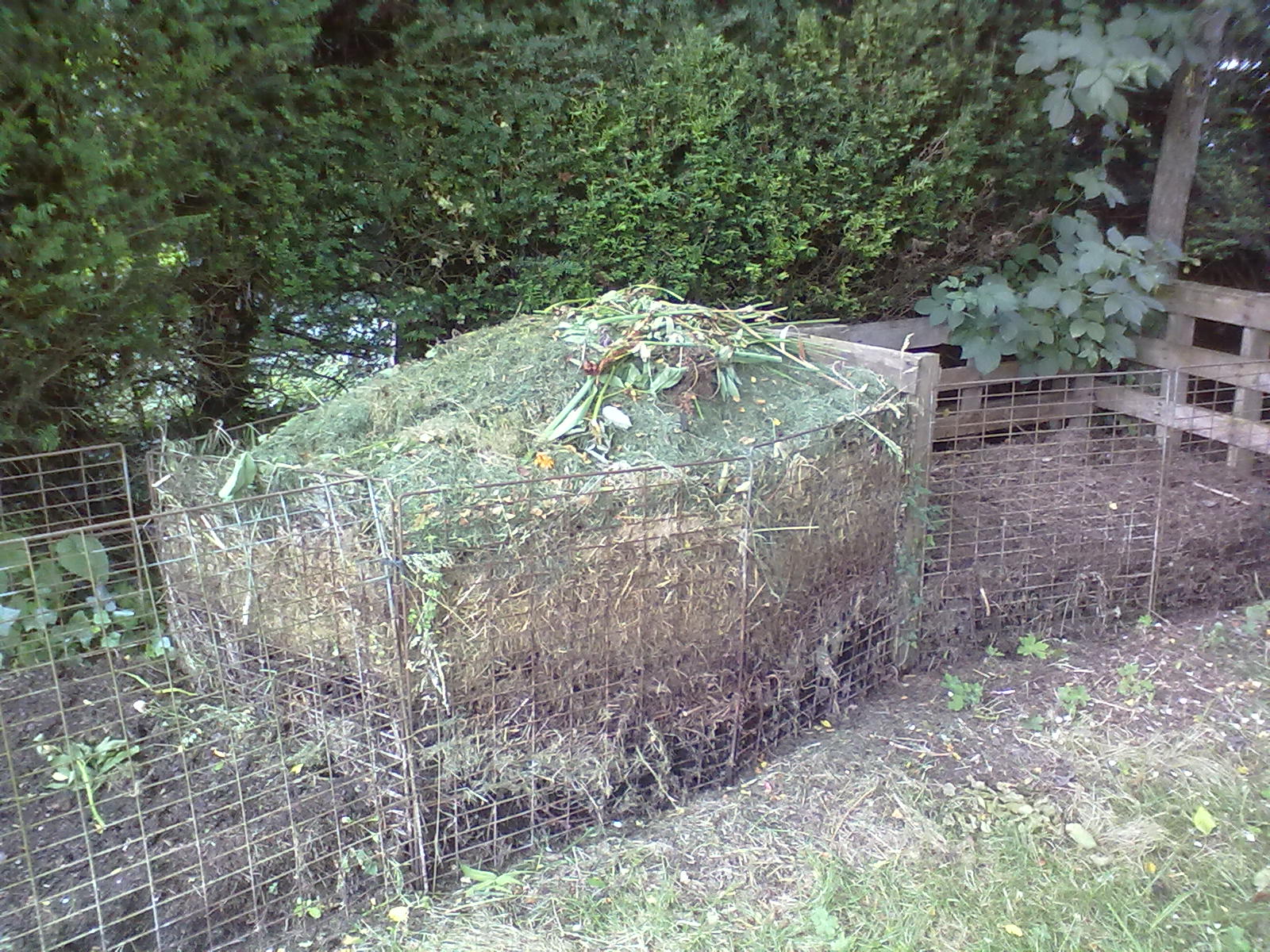 Rachel the Gardener Compost heaps in Winter what to do with them