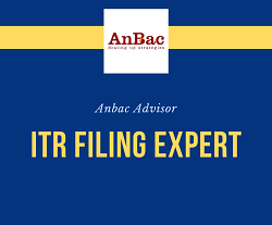 ITR Filing expert