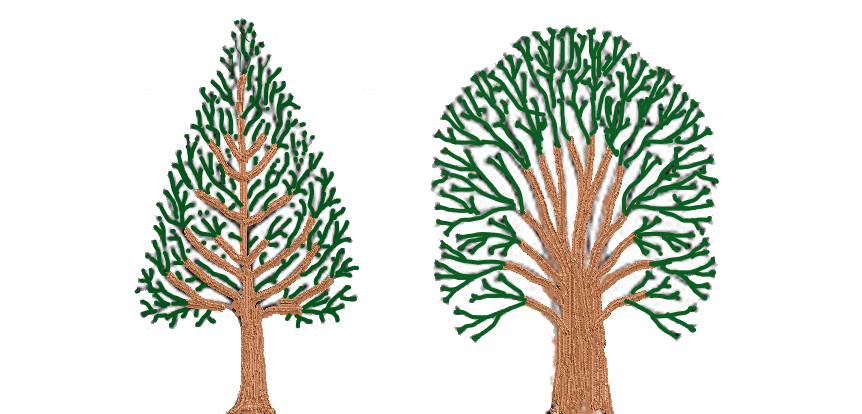 Class 4 Evs Chapter 19 Abdul In The Garden Additional Exercises With Solutions Ncert