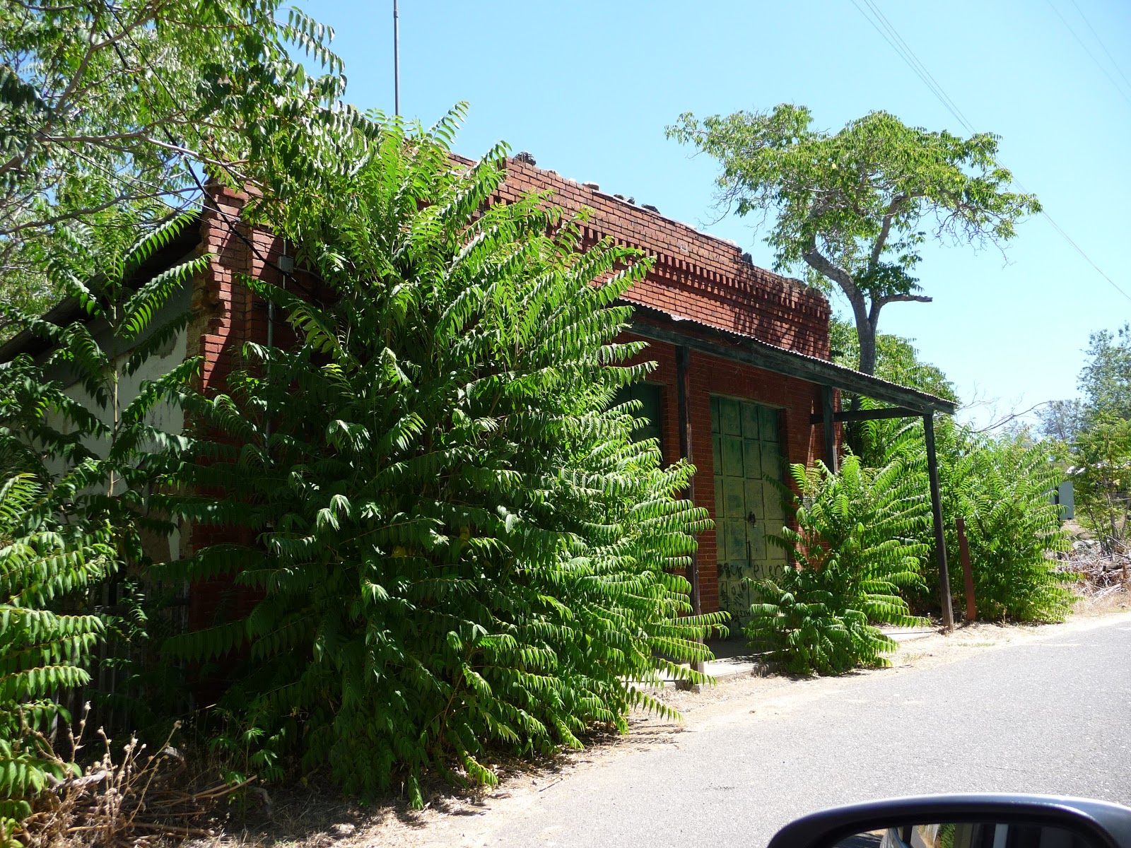 Nutfield Genealogy Chinese Camp, Tuolumne County, California