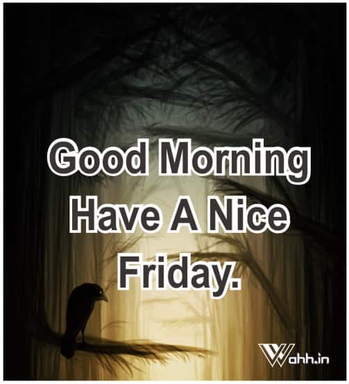 Best 41 Good Morning Friday Friday Morning Wishes Images Wahh Hindi Blog