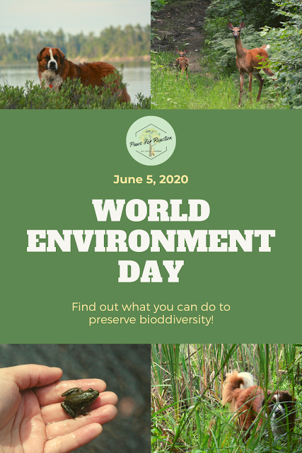 Fall back in love with nature on World Environment Day: Learn how you can help preserve biodiversity