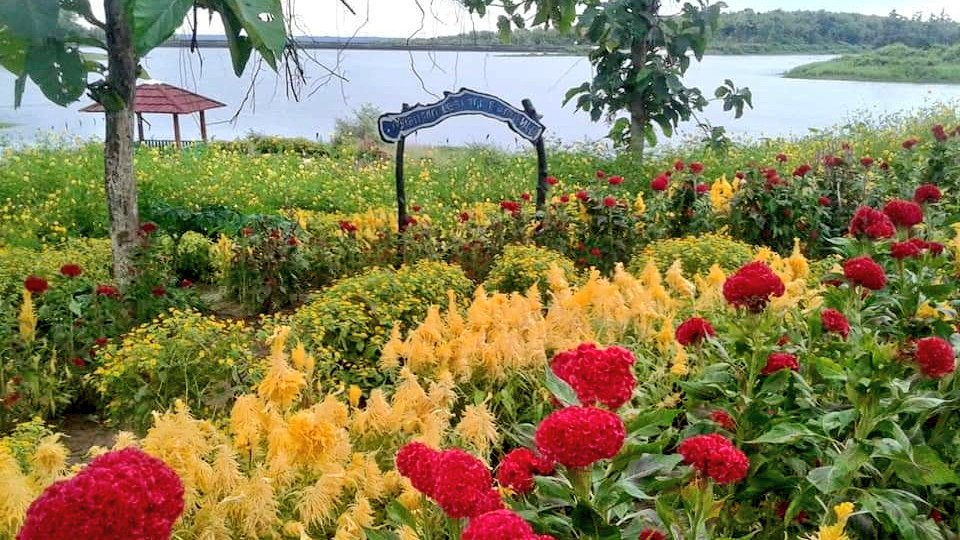 Hasil gambar untuk Waduk Nglangon