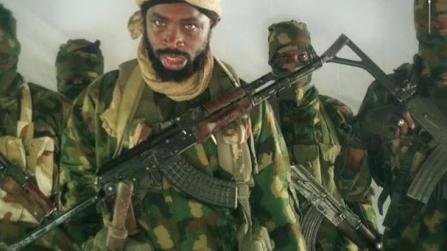 Duba dalilin  daya sa rikicin Boko Haram ya ƙi ci ya ƙi cinyewa - Zulum