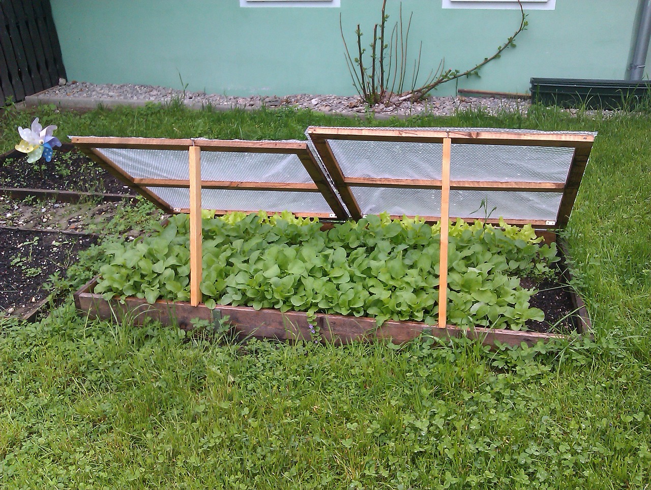 Cold Frame Gardening