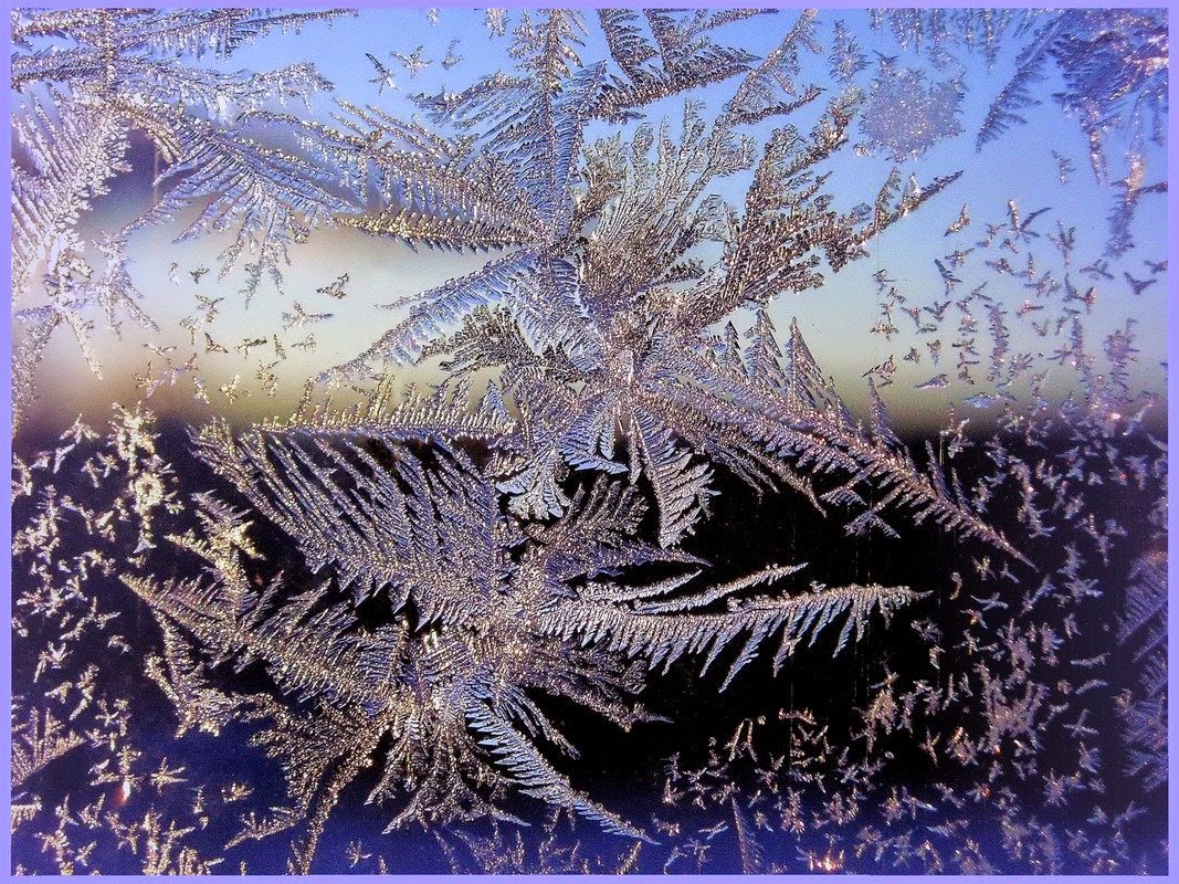 Рисует мороз на окне