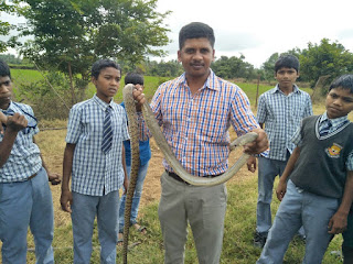 John Mark holding a snake found at school
