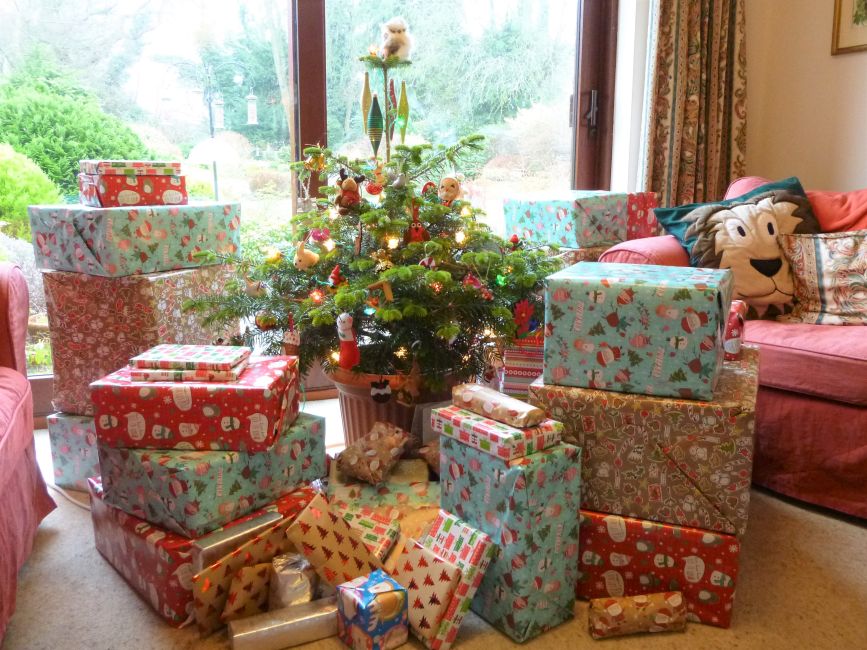 bugs and fishes by lupin gift wrapping idea for christmas the tree that saved christmas dvd