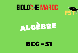 Algèbre Cours+TD+Examens PDF BCG S1