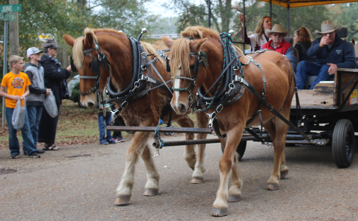 Tammany Family Folsom Horse & Wagon Christmas Parade