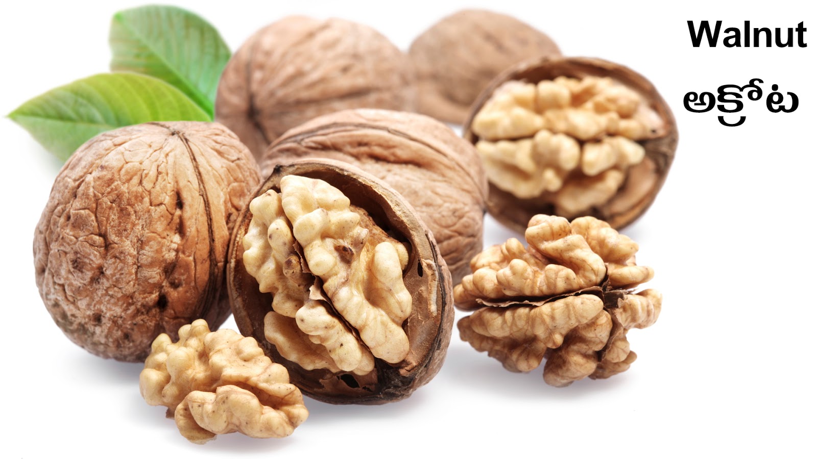 NUTS & DRY FRUITS Picture Dictionary English Telugu