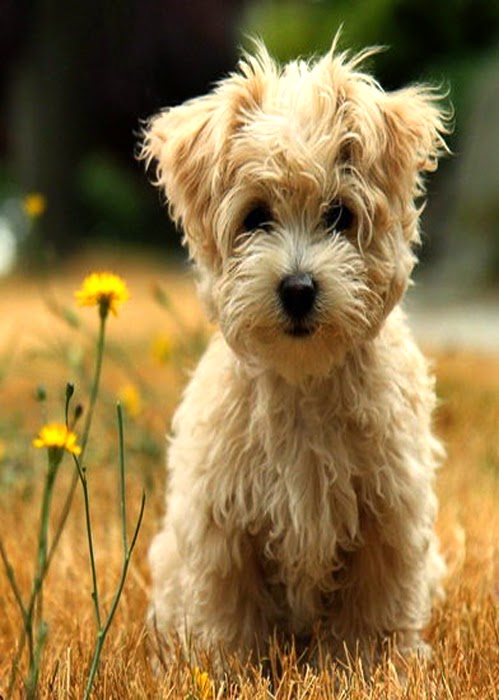 Your SEO optimized title