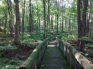 sentier parc-nature du Bois-de-liesse