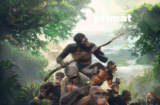 primat