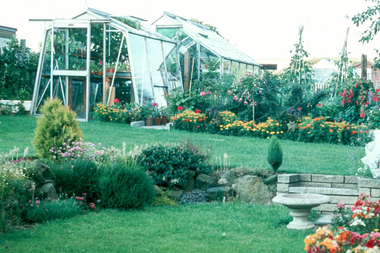 Our Plot at Green Lane Allotments Greenhouse history
