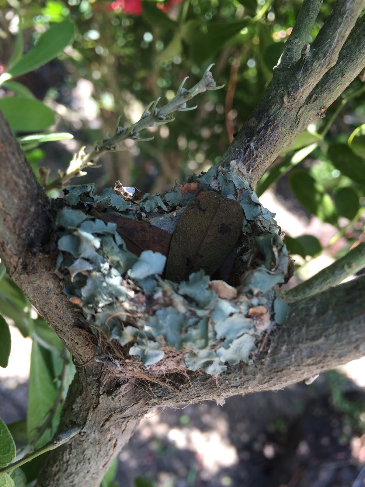 Cultivating Paradise