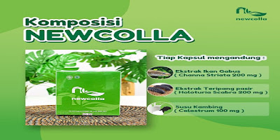 Jual Kapsul Collagen Terbaik