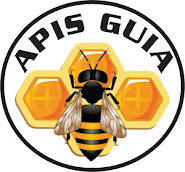 Apis Guia