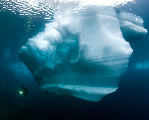 15 Pics to see inside the ice Water - Ice Diving