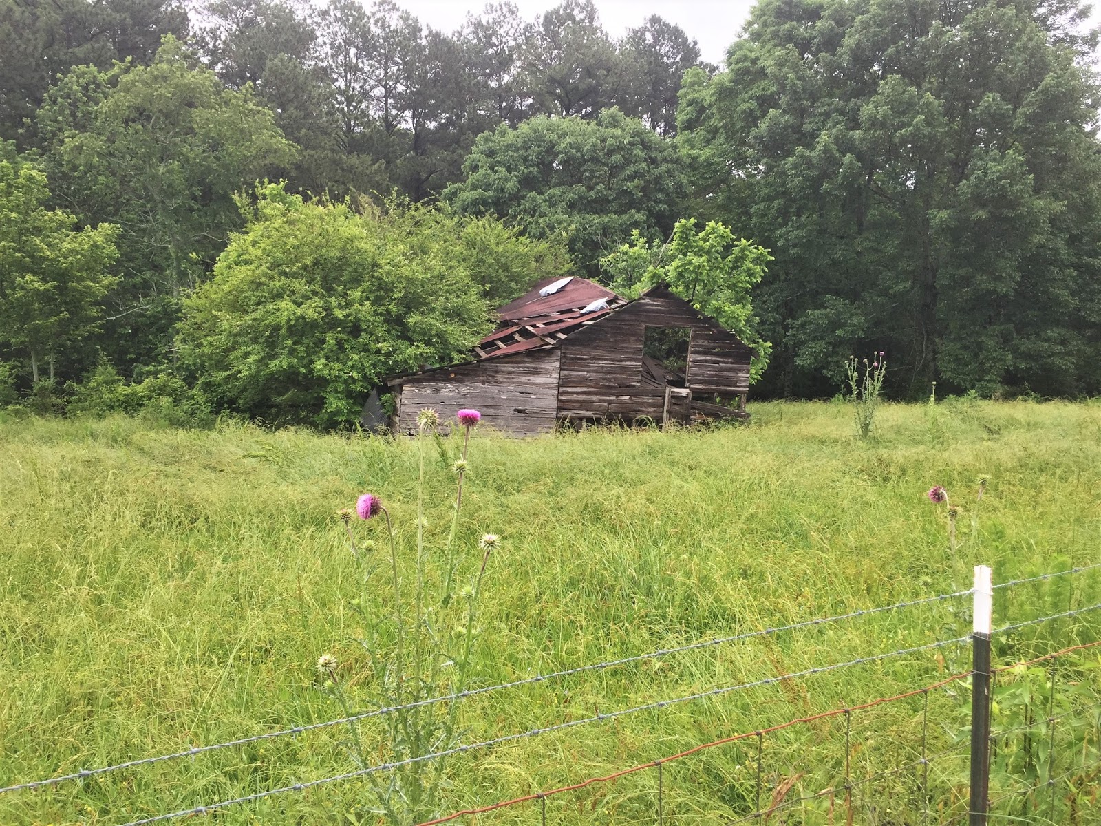 Remnants of Southern Architecture Old Farmhouse, Dawson County, GA c