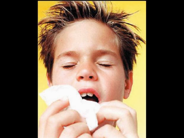 Los ácaros en el hogar - Salud en Casa Perú