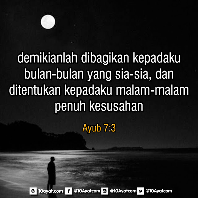 Ayub%2B7 3