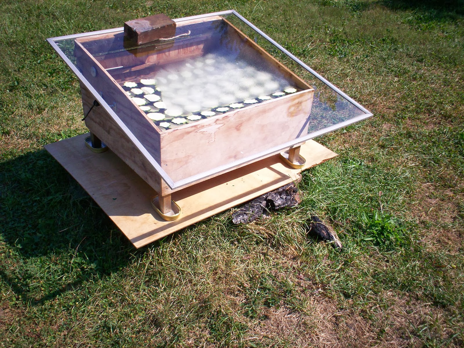 Living Low in the Lou Dehydrating food with a solar food dryer