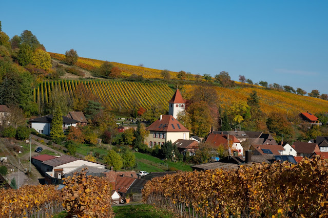 Pfälzer Keschdeweg | Etappe 2 Annweiler bis Albersweiler | Wandern Südliche Weinstraße | Wandern Wasgau 14