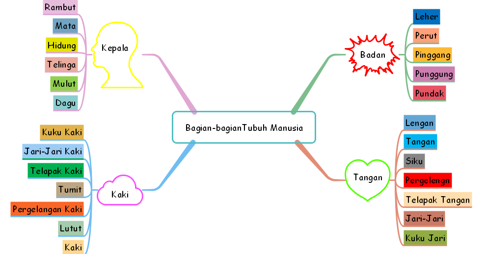 Peta Konsep Bagian Tubuh Manusia