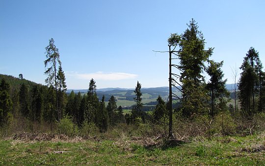 Widoki z drogi pod Cisówką