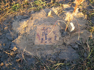 The Dragonfly Funeral