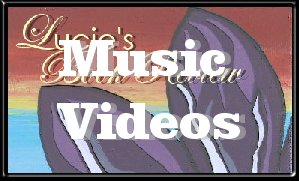 Enjoy These Music Videos