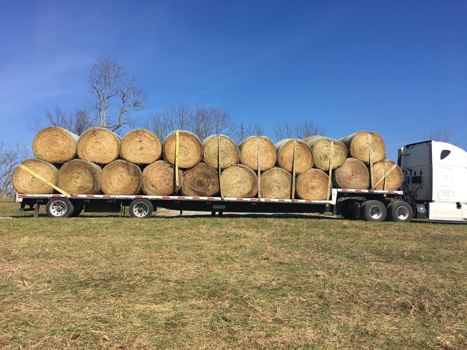 White House Farms Netwrapped Barn Hay
