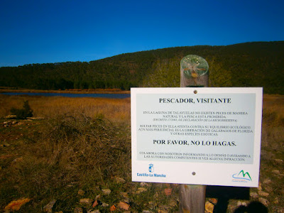 las lagunas de talayuelas, autor, miguel alejandro castillo moya