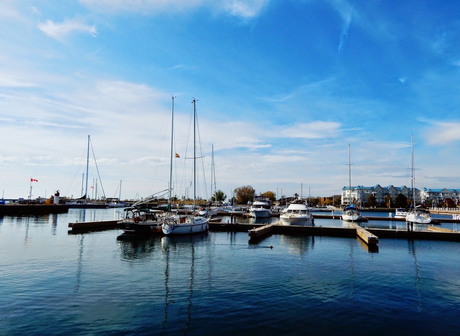 Patti Friday Cobourg Ontario Waterfront