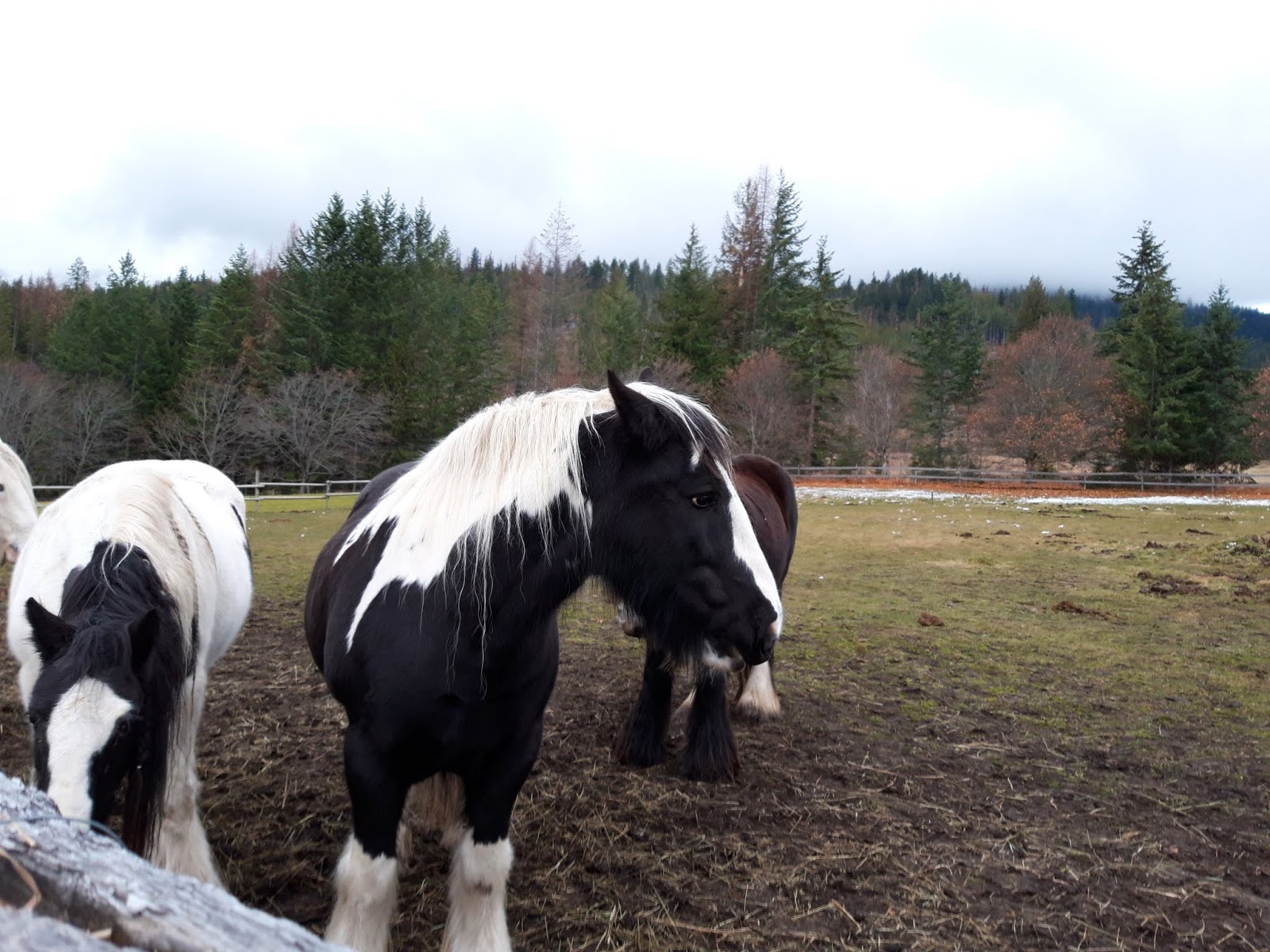 Burgerportal Bergisch Gladbach Nachrichten Hintergrunde Termine