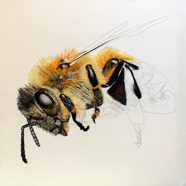 Needlefelt Bee Art