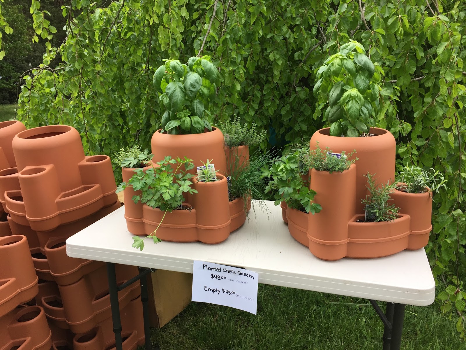 Bonz Blogz Maymont Herbs Galore and More