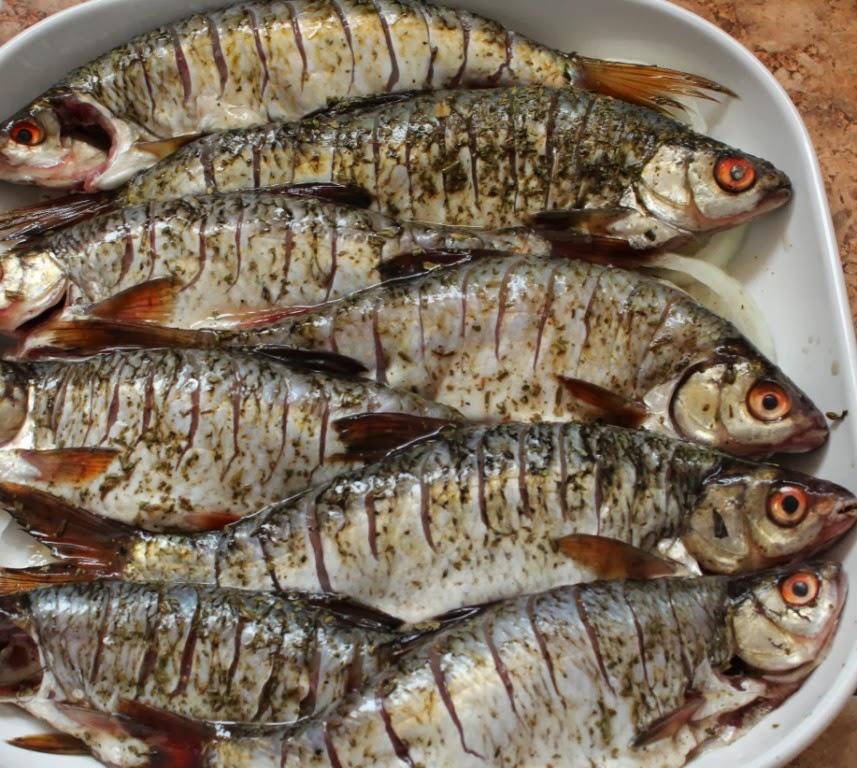 окунь речной жареный. таранька запечённая. плотва блюда. крупная плотва в духовке. мелкая рыба для жарки.