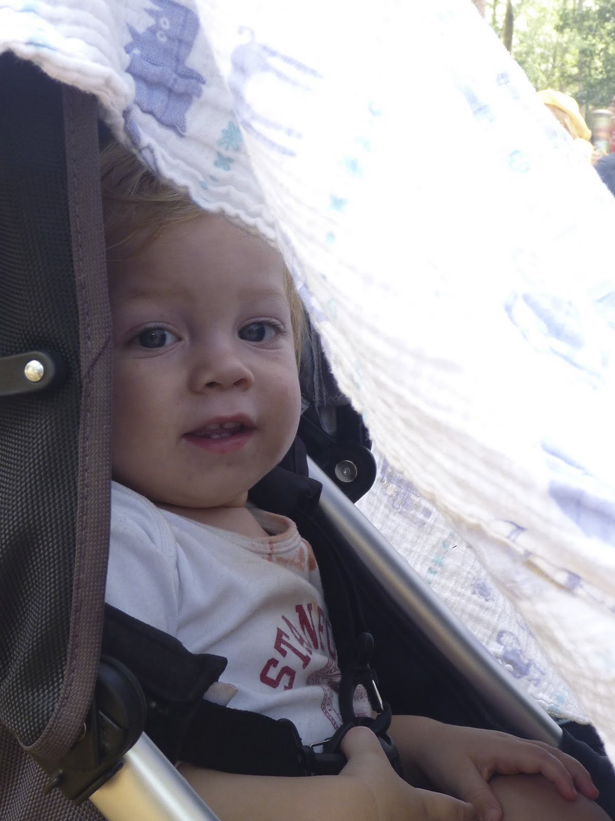 old wire road The Rapture Will Be Paved.