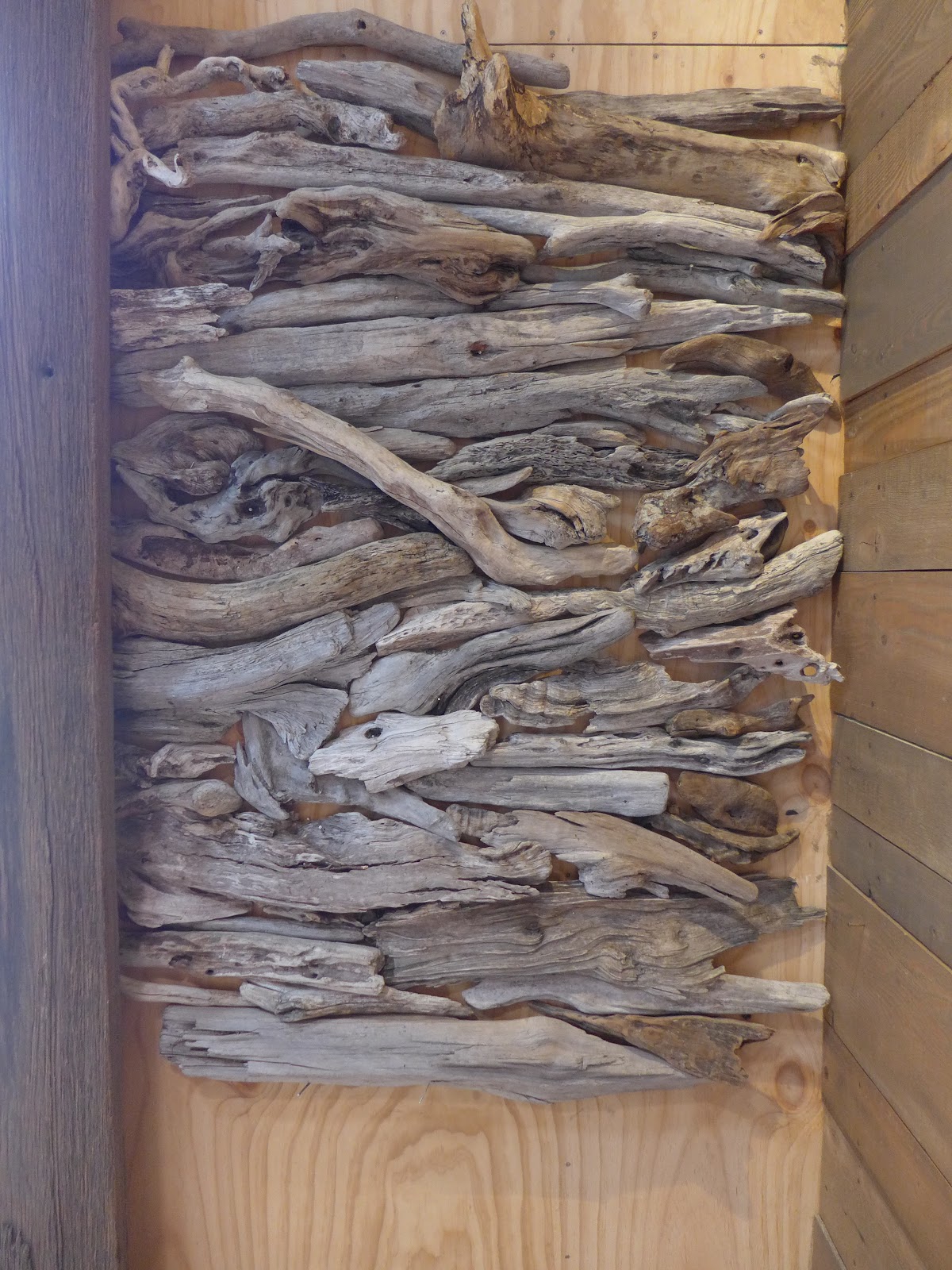 Jeffrey Bale's World of Gardens The Driftwood Wall