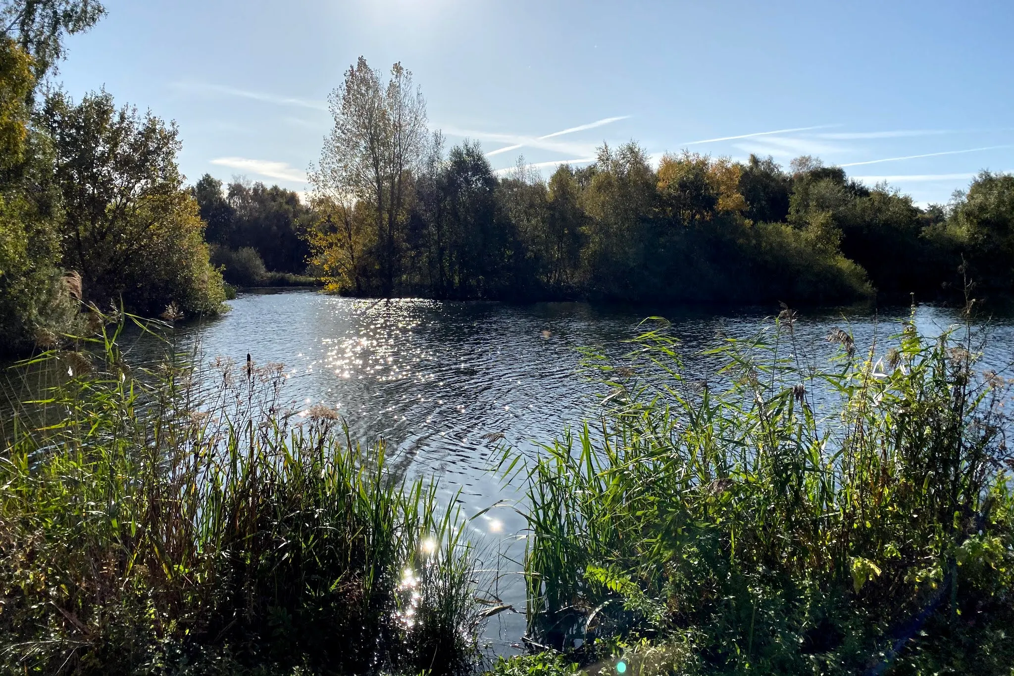 the lake at pensthorpe in Norfolk which is a great place to visit with children