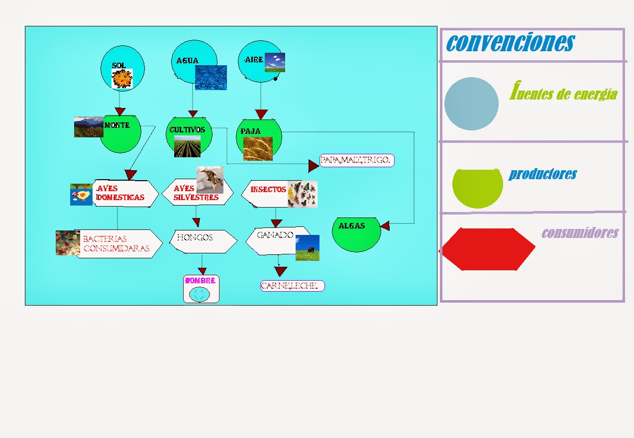 es el momento de pensar en nuestro futuro: DIAGRAMA DE FLUJO DE ENERGIA