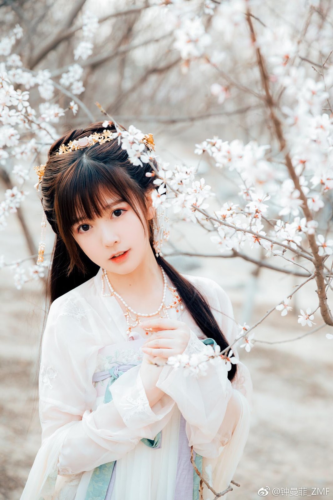 Chinese beautiful model - Cosplay The Cherry Blossom Fairy with Historical Costume
