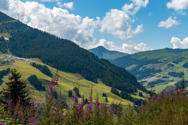 Wanderung zum Seetörl und zur Hacklbergalm | Schattberg Westgipfel Saalbach 12