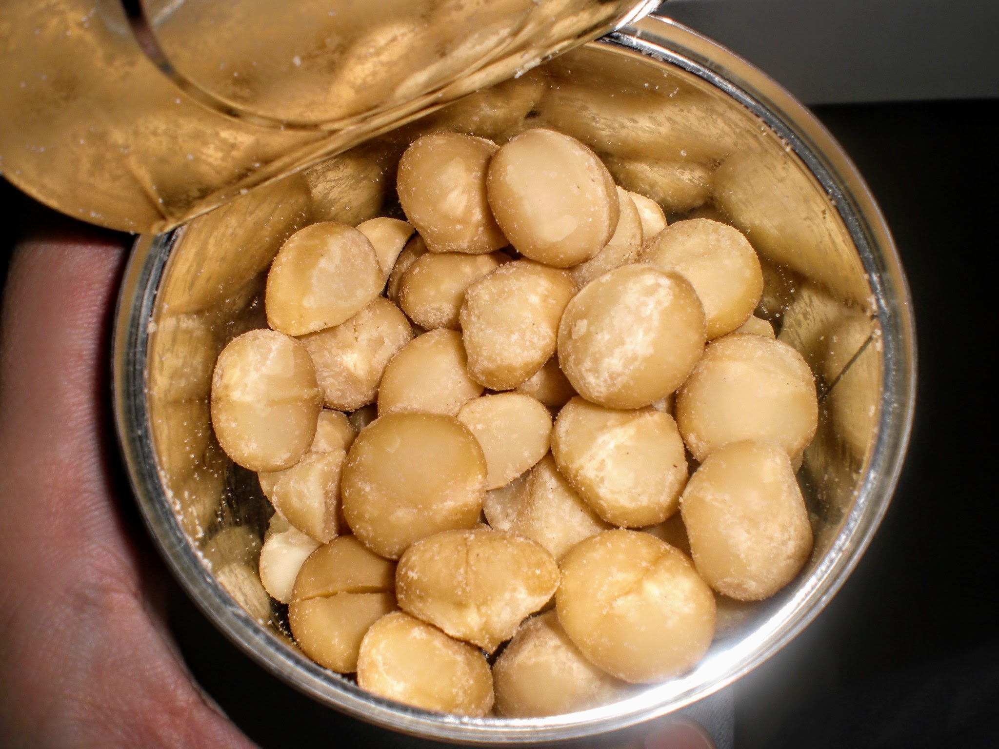 History of Candlenut · Buah Keras · Kemiri · Kukui Nut · Indian Walnut