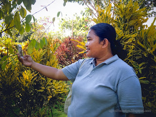 Woman Traveler Take A Selfie Among Fresh Leaves Of Tropical Garden Plants On A Sunny Day Tangguwisia Village North Bali Indonesia