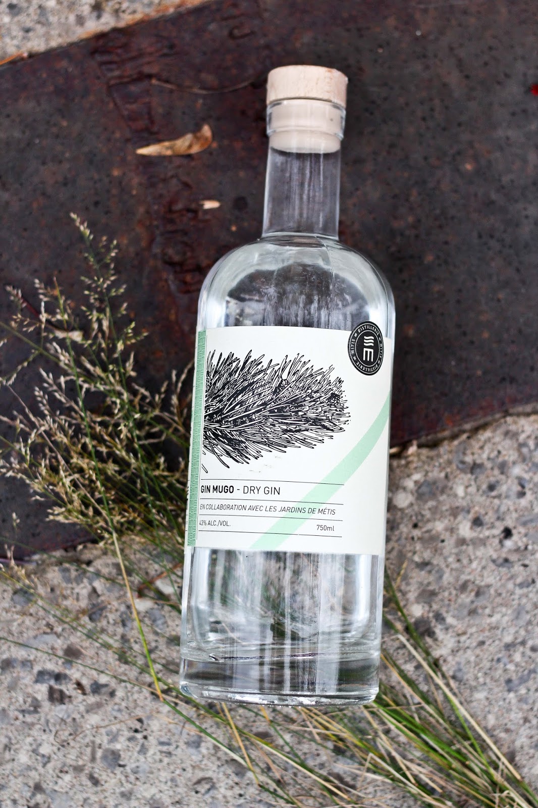 5 gins québécois parfaits pour réussir votre hibernation